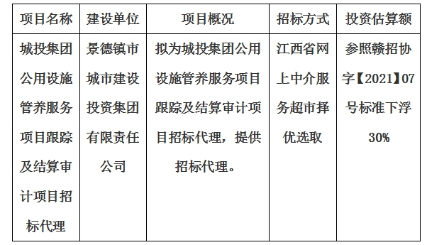 城投集團公用設(shè)施管養(yǎng)服務(wù)項目跟蹤及結(jié)算審計項目招標代理計劃公告